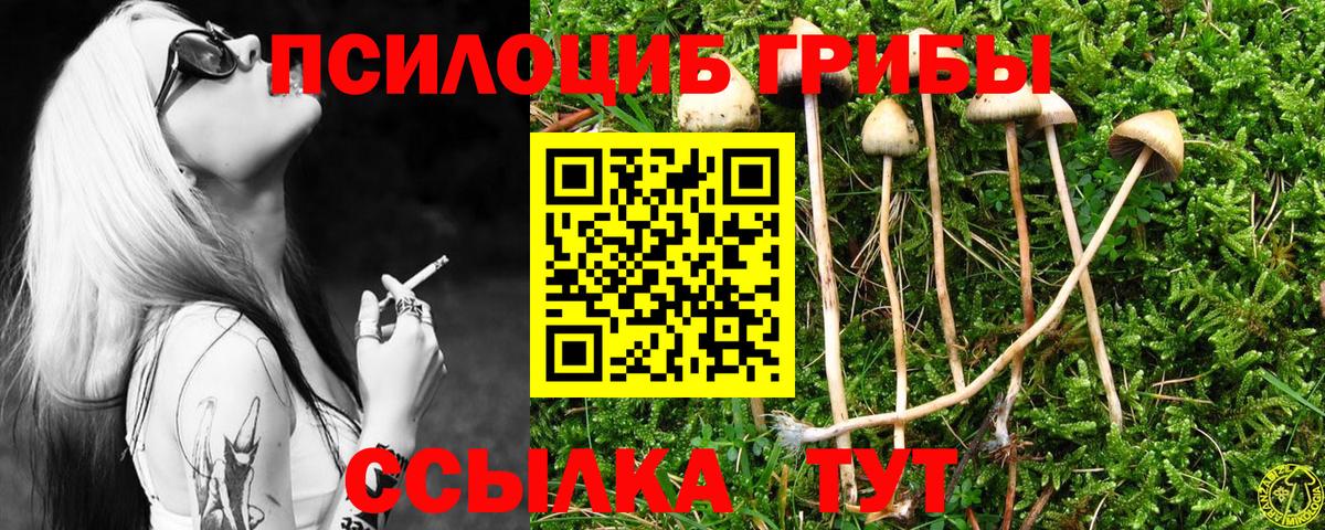 Псилоцибиновые грибы мицелий Уссурийск