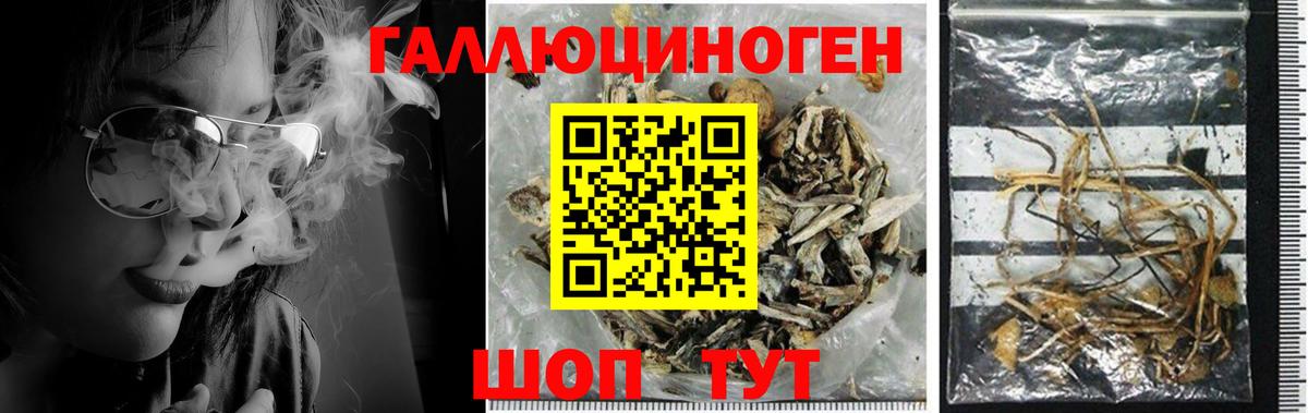 Псилоцибиновые грибы мицелий  где купить наркоту  Псилоцибиновые грибы Cubensis  Уссурийск  Вход с VPN 